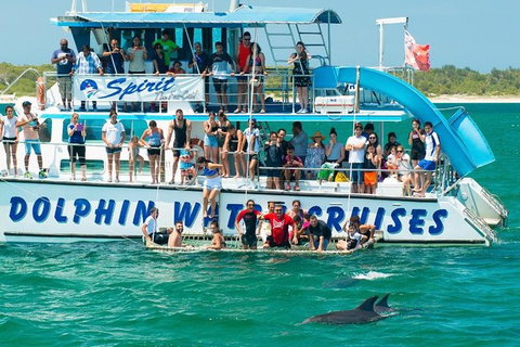 Port Stephens Dolphin Watching Cruise Including Splash And Slide - New Castle Holiday 1