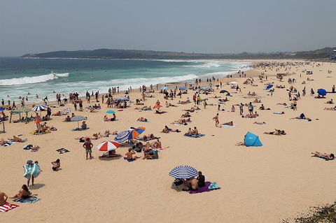 Experience The Real Sydney With Our Signature Tour - New Castle Holiday 7