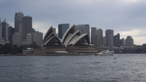 Sydney Whale-Watching Cruise Including Lunch Or Breakfast - New Castle Holiday 10