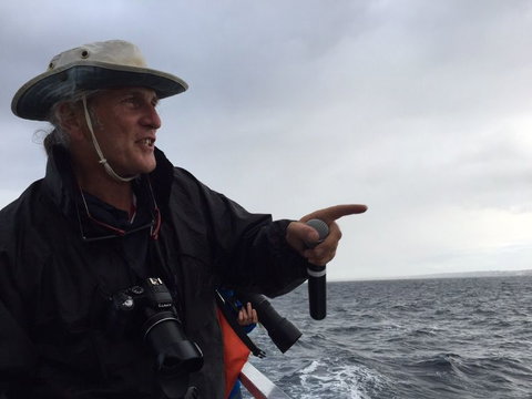 Sydney Whale-Watching Cruise Including Lunch Or Breakfast - New Castle Holiday 7