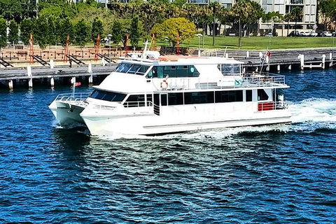 Sydney Whale-Watching Cruise Including Lunch Or Breakfast - New Castle Holiday 21