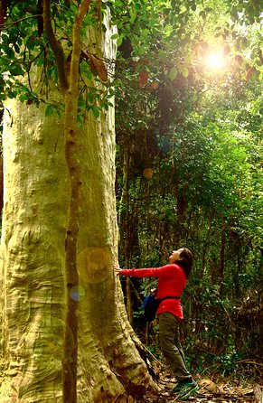 3 Day Murramarang Coast Journey From Batemans Bay With Meals And Villa Accom - New Castle Holiday 4