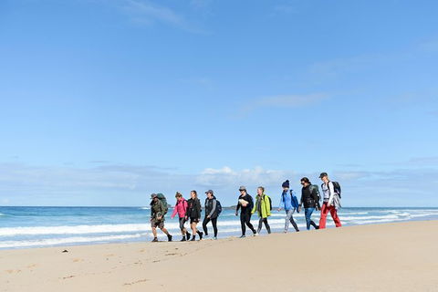 3 Day Murramarang Coast Journey From Batemans Bay With Meals And Villa Accom - New Castle Holiday 7