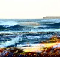 7-Day Byron Bay Evans Head and Moonee Beach Surf Safari from Brisbane Gold Coast or Byron Bay - New Castle Holiday