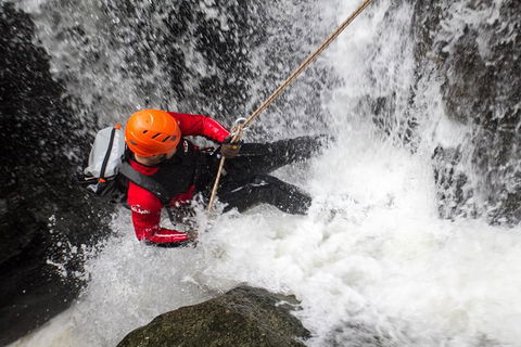 Full Day Sub-Tropical Rainforest Canyoning Adventure From Sydney - New Castle Holiday 0