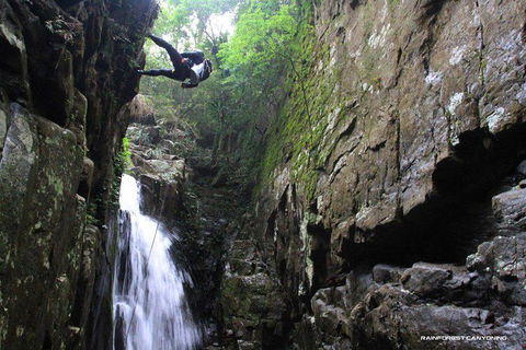 Full Day Sub-Tropical Rainforest Canyoning Adventure From Sydney - New Castle Holiday 1