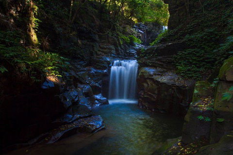 Full Day Sub-Tropical Rainforest Canyoning Adventure From Sydney - New Castle Holiday 8