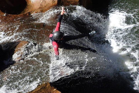 Full Day Sub-Tropical Rainforest Canyoning Adventure From Sydney - New Castle Holiday 5