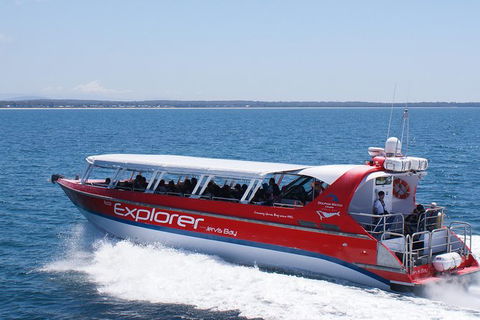 Whale Watching Jervis Bay - New Castle Holiday 5
