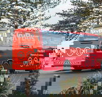 SkyBus Byron Bay Express - New Castle Holiday