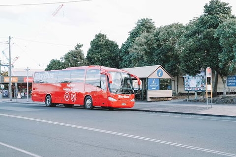 SkyBus Byron Bay Express - New Castle Holiday 3