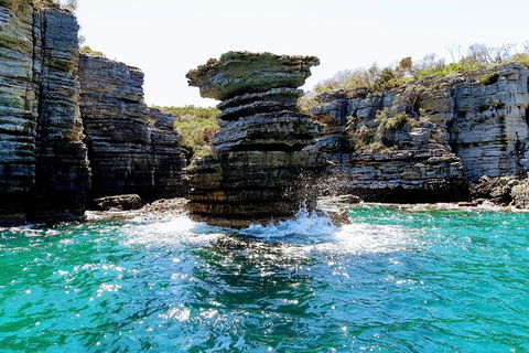 Jervis Bay Passage Tour - New Castle Holiday 15