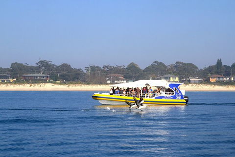 Jervis Bay Passage Tour - New Castle Holiday 16