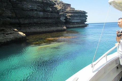Jervis Bay Passage Tour - New Castle Holiday 14