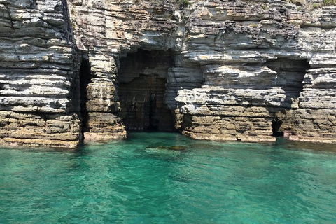 Jervis Bay Passage Tour - New Castle Holiday 13