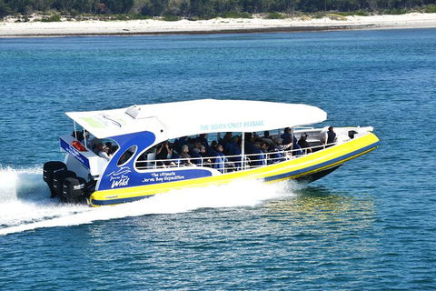Jervis Bay Passage Tour - New Castle Holiday 11