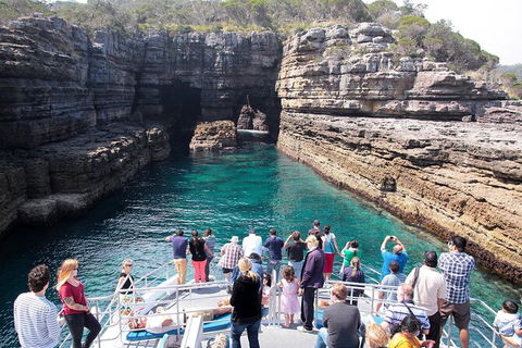 Jervis Bay Passage Tour - New Castle Holiday 3