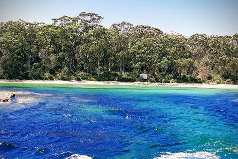 Jervis Bay Passage Tour - New Castle Holiday 6