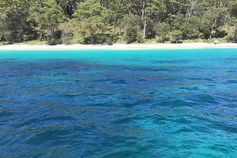 Jervis Bay Passage Tour - New Castle Holiday 5