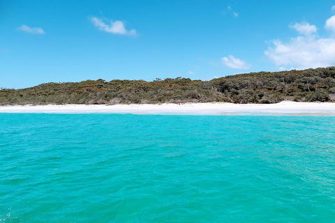 Jervis Bay Passage Tour - New Castle Holiday 10