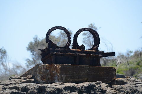 Jervis Bay Passage Tour - New Castle Holiday 4