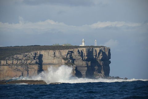 Jervis Bay Passage Tour - New Castle Holiday 8