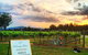 Private Luxury Hunter Valley Day Tour From Sydney - thumb 5