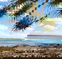 Arrawarra-Corindi Beach - New Castle Holiday