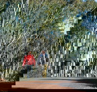 Arthur River - New Castle Holiday