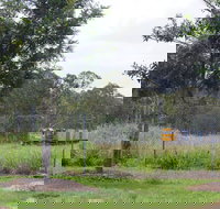 Avondale - New Castle Holiday