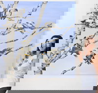 Bingara Gallery - New Castle Holiday