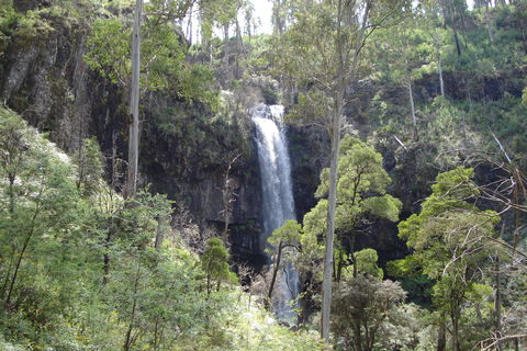 Bindaree Falls - New Castle Holiday 0