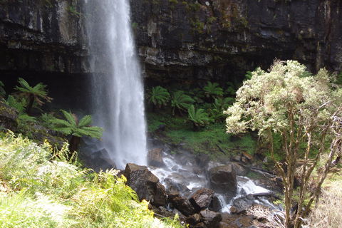 Bindaree Falls - New Castle Holiday 1