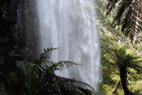Bindaree Falls - New Castle Holiday 2