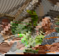 Birdworld Kuranda - New Castle Holiday