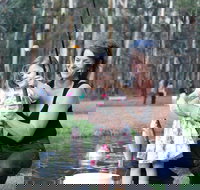 Buxton Trout and Salmon Farm - New Castle Holiday