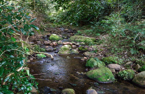 Cascades Picnic Area - New Castle Holiday 0