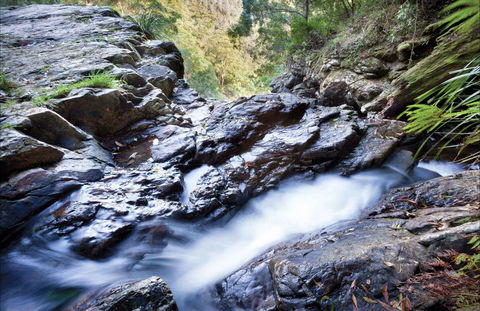 Casuarina Falls Circuit - New Castle Holiday 0