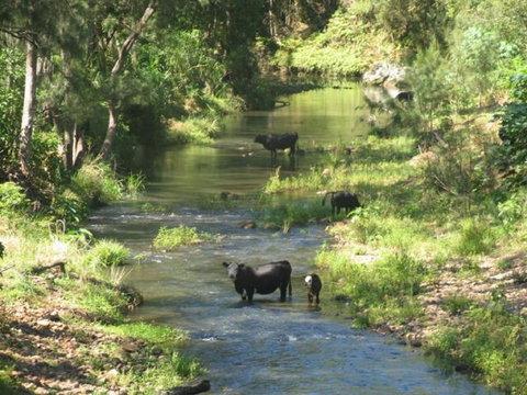 Chillingham - New Castle Holiday 1