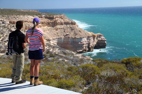Coastal Cliffs - New Castle Holiday 0