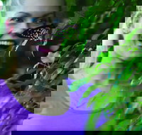 Coffs Harbour Butterfly House - New Castle Holiday