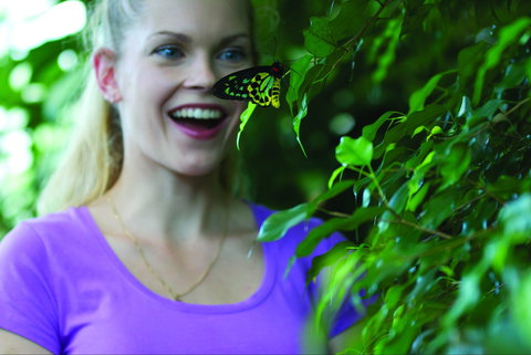 Coffs Harbour Butterfly House - New Castle Holiday 0