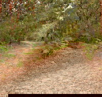 Daleys Point Walking Track - New Castle Holiday