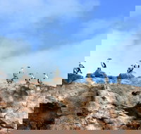 Dirk Hartog Island National Park - New Castle Holiday