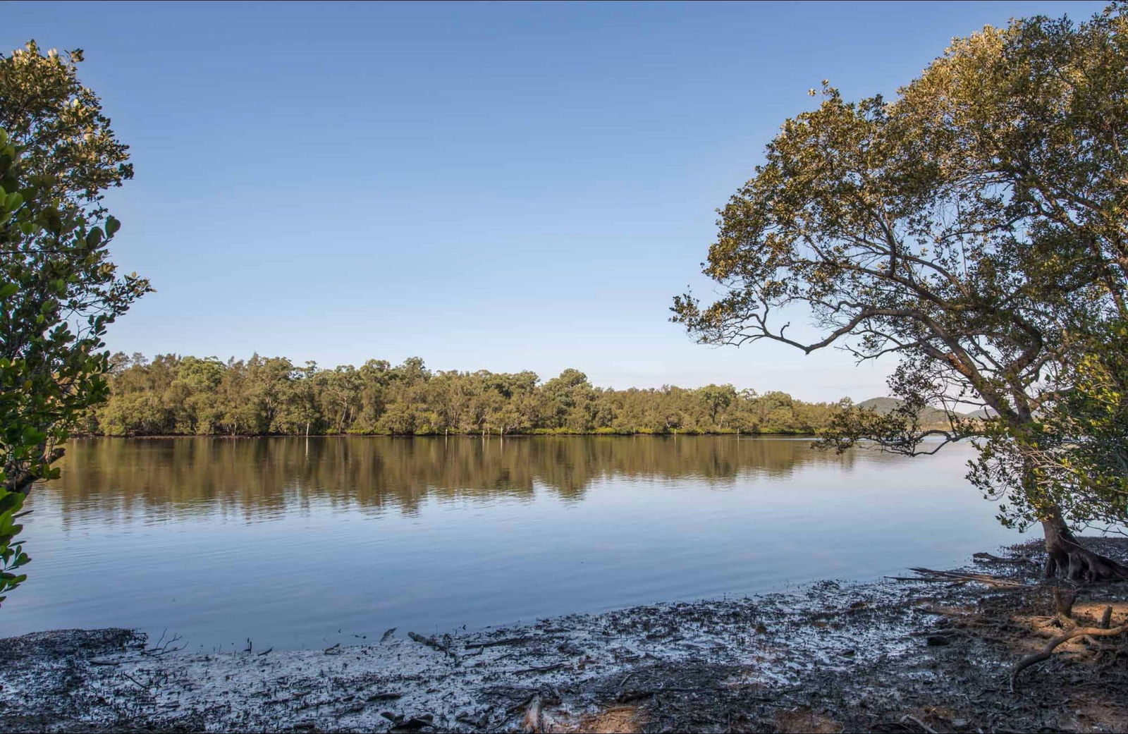 Limeburners Creek NSW New Castle Holiday