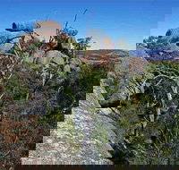 Evans Crown Nature Reserve - New Castle Holiday