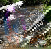 Fossicking - New Castle Holiday