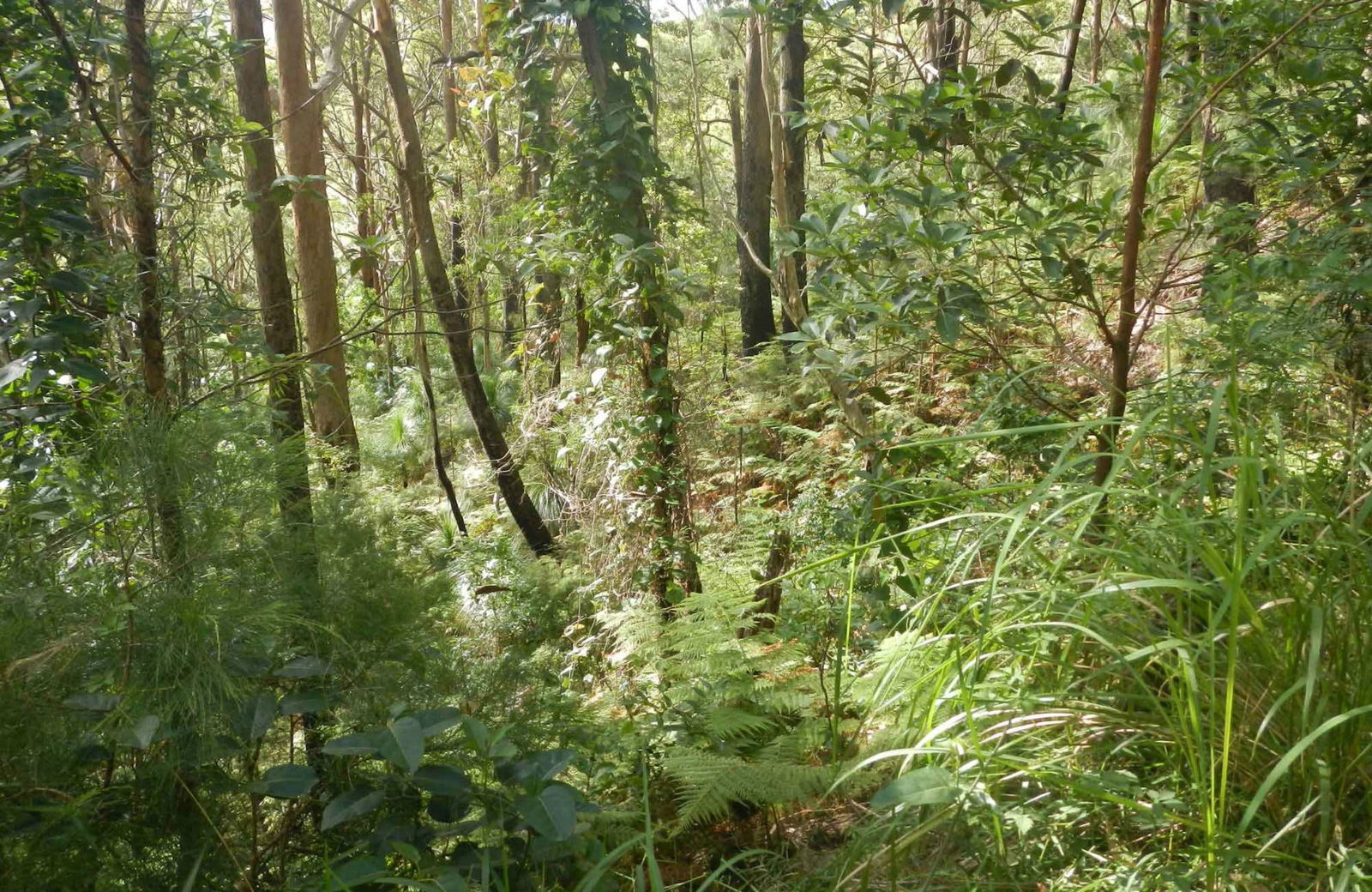Arakoon NSW New Castle Holiday