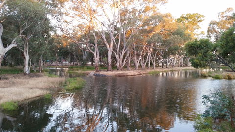 Green Corridor Walking Track - New Castle Holiday 1
