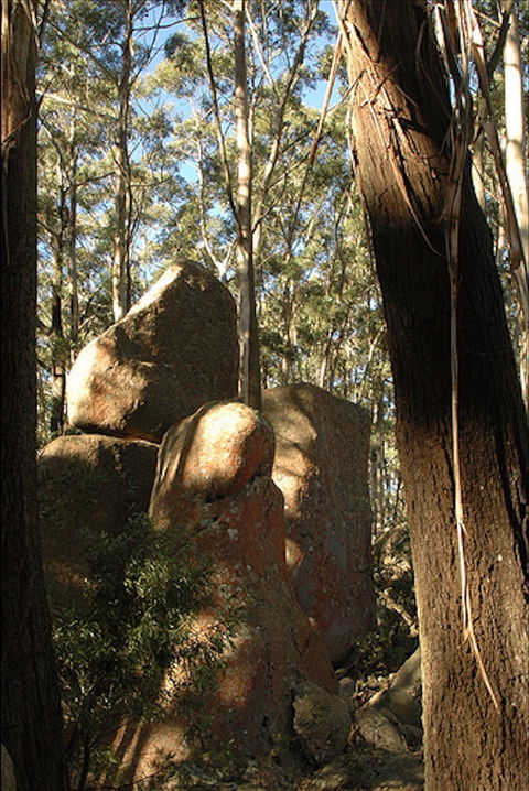 Gulaga National Park - New Castle Holiday 0